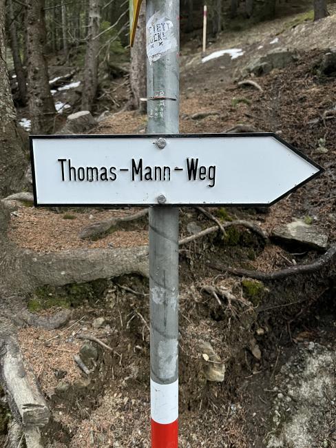 Onderweg naar de toverberg